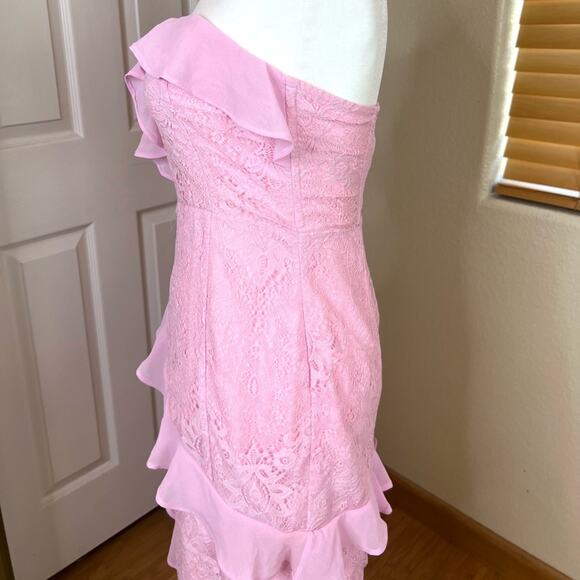 NWT Lovers + Friends Harris Pink Lace Strapless Midi Dress. - Picture 5 of 10